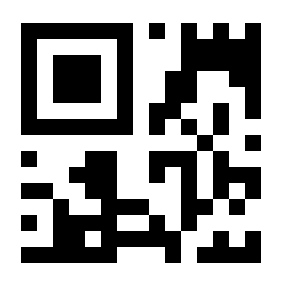 QR Code Logo